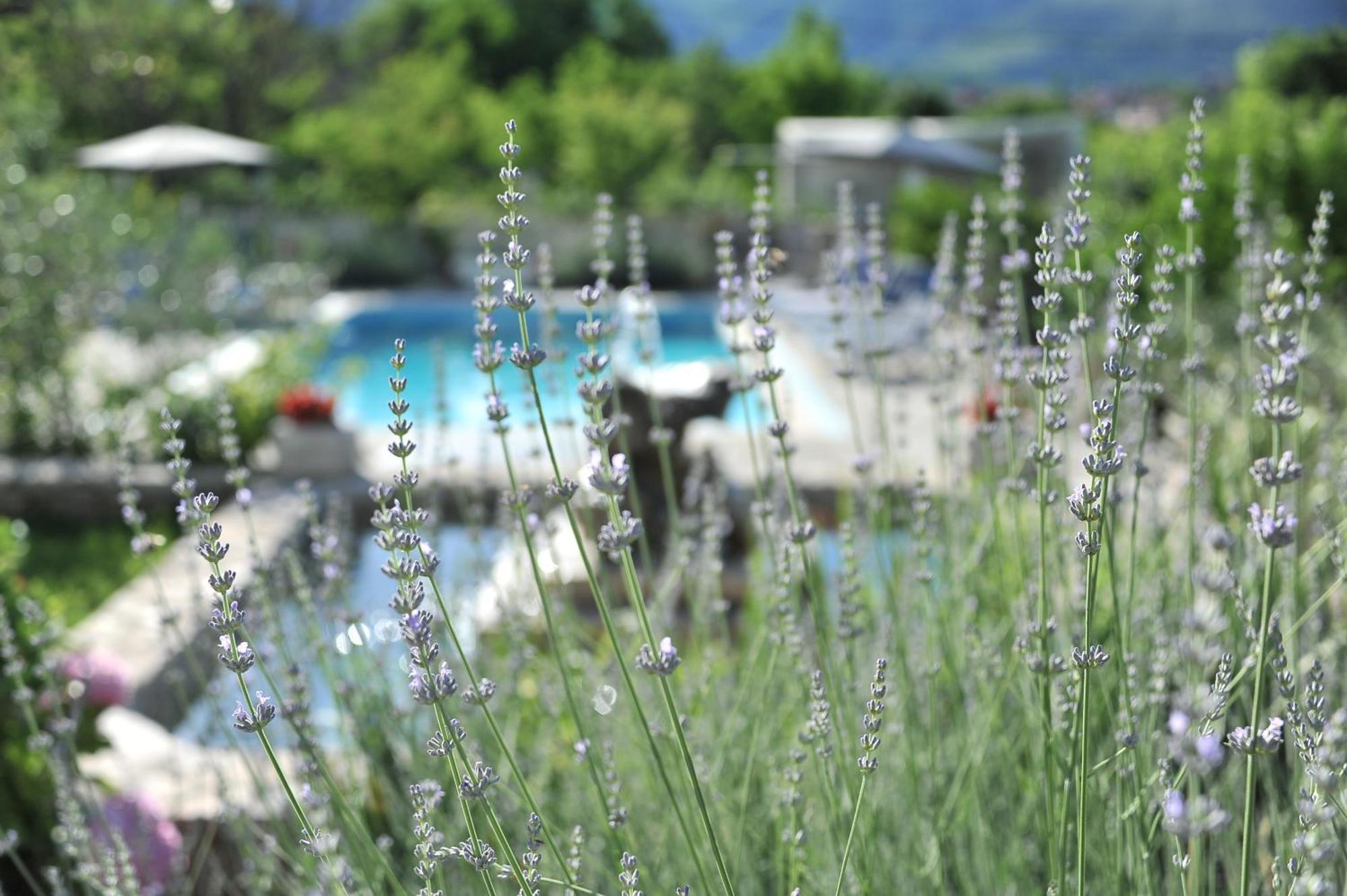 Pool House Maslina Apartment Mostar Exterior photo